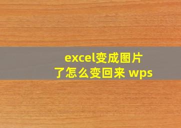 excel变成图片了怎么变回来 wps